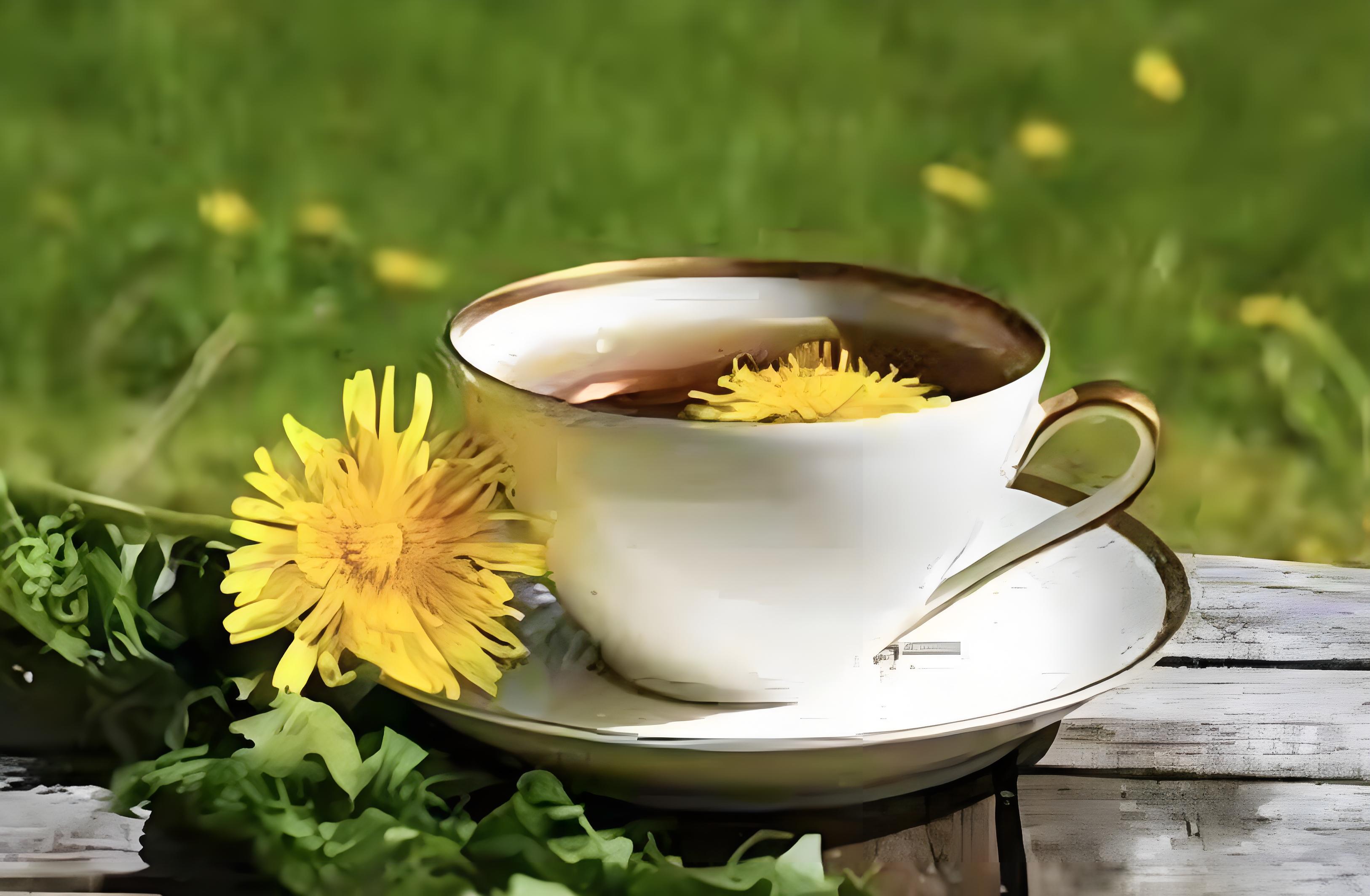蒲公英花泡茶